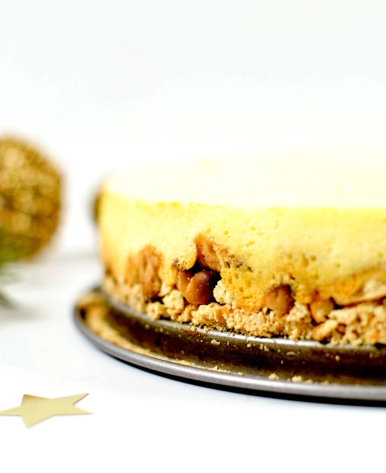 cheesecake-au-citron-5