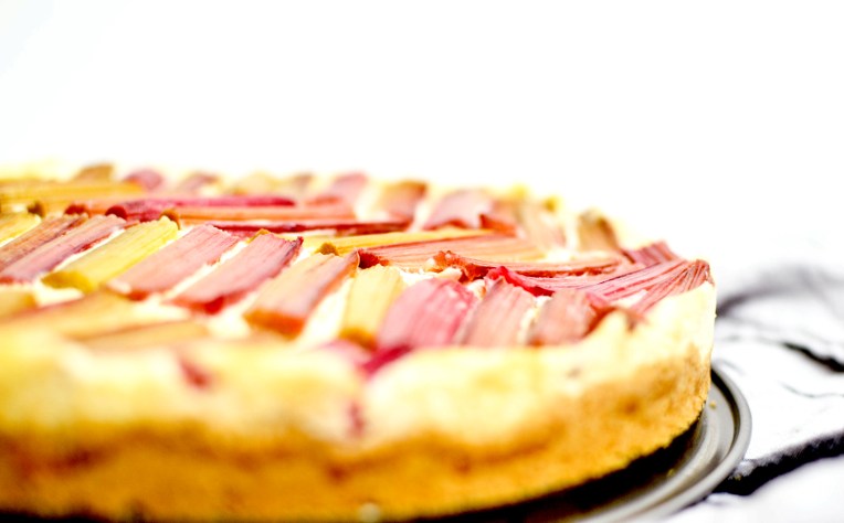 cheescake rhubarbe 2