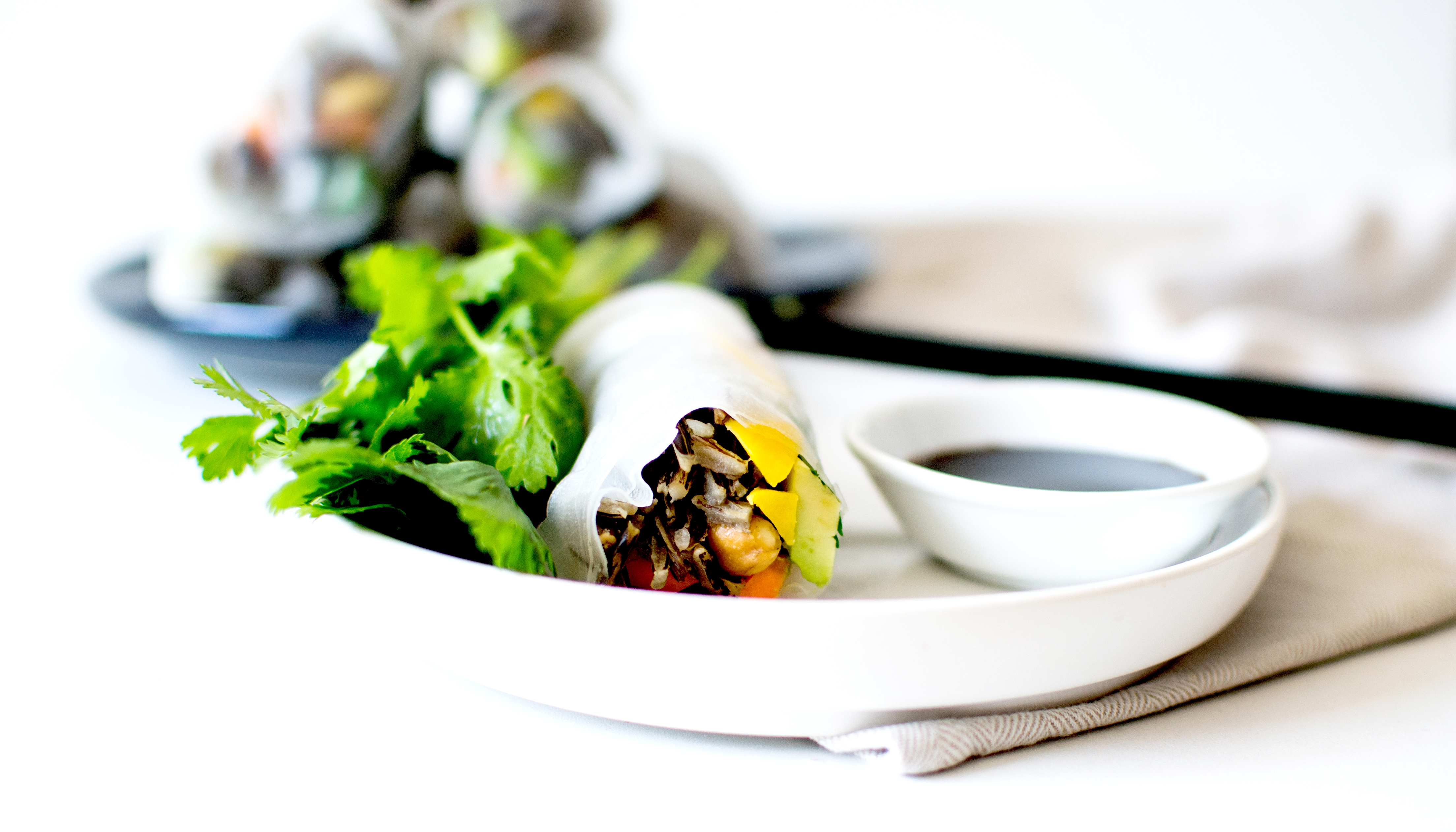 rouleaux de printemps riz sauvage 2