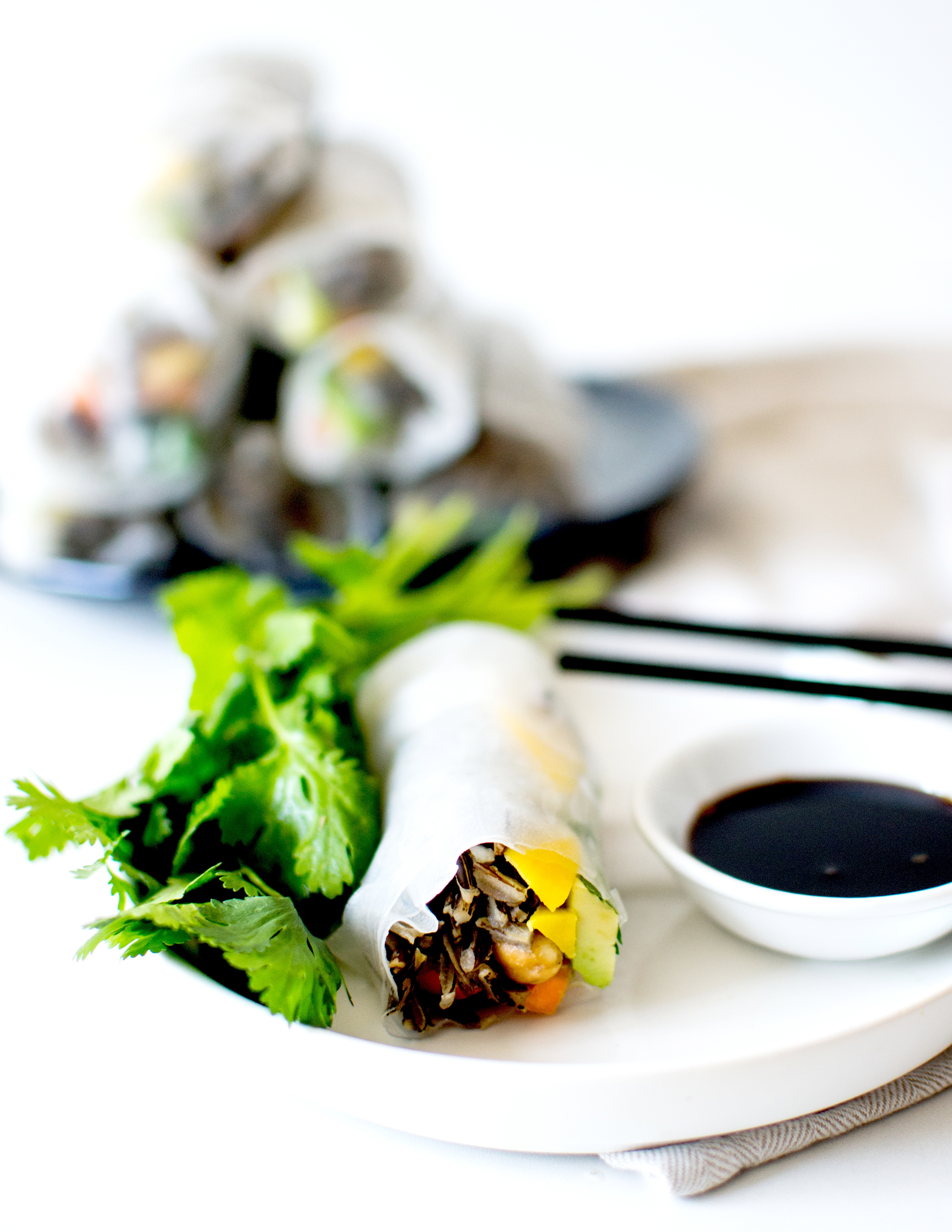 rouleaux de printemps riz sauvage 3