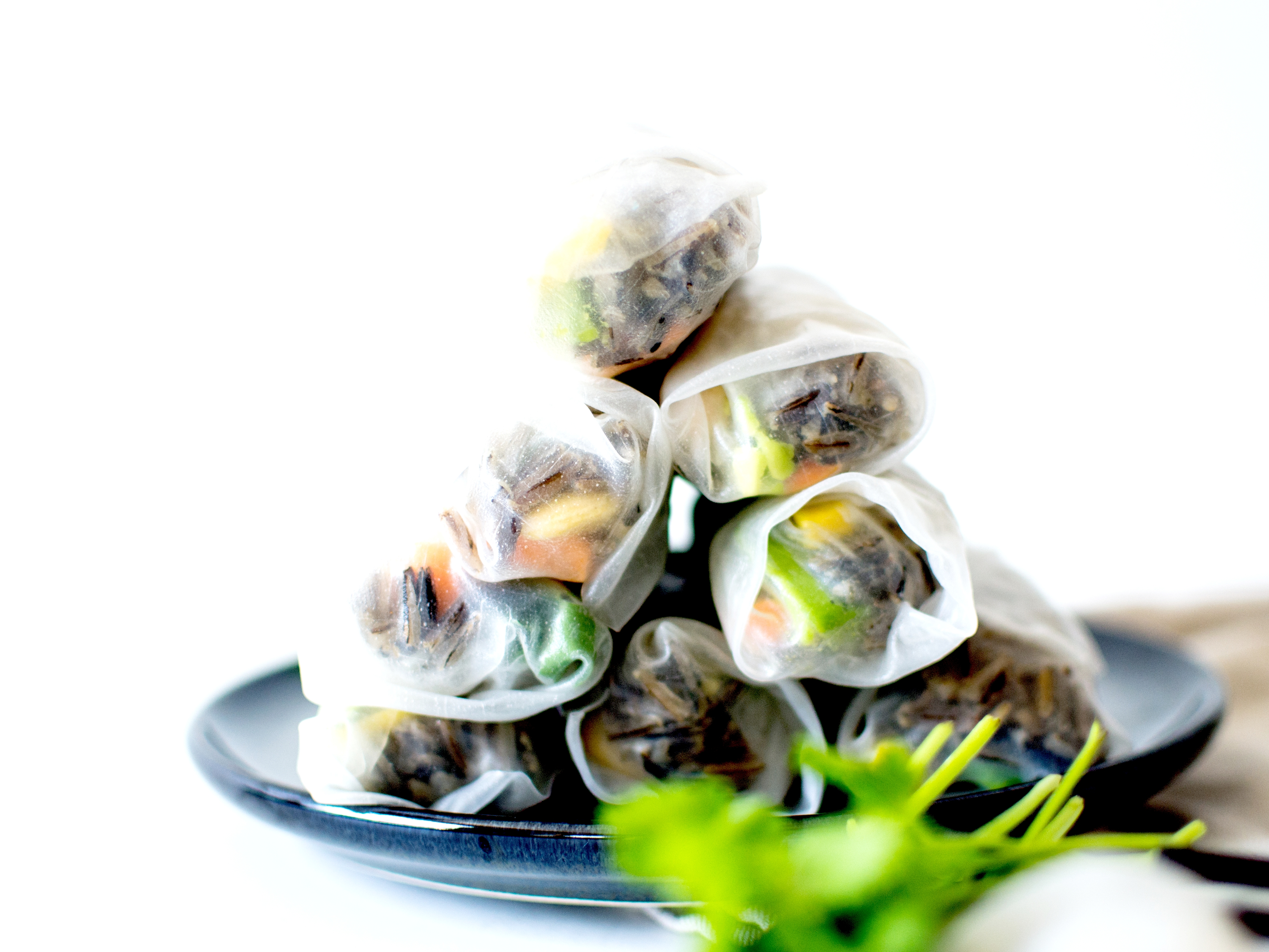 rouleaux de printemps riz sauvage 5