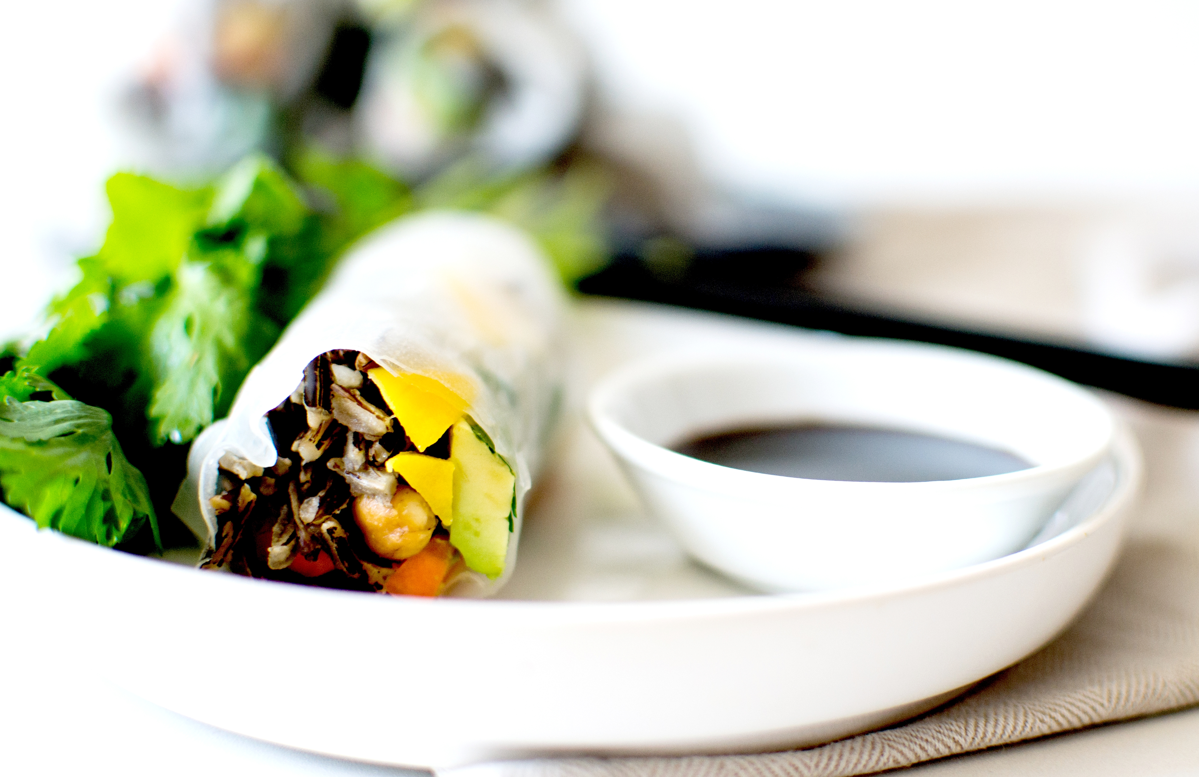 rouleaux de printemps riz sauvage 6