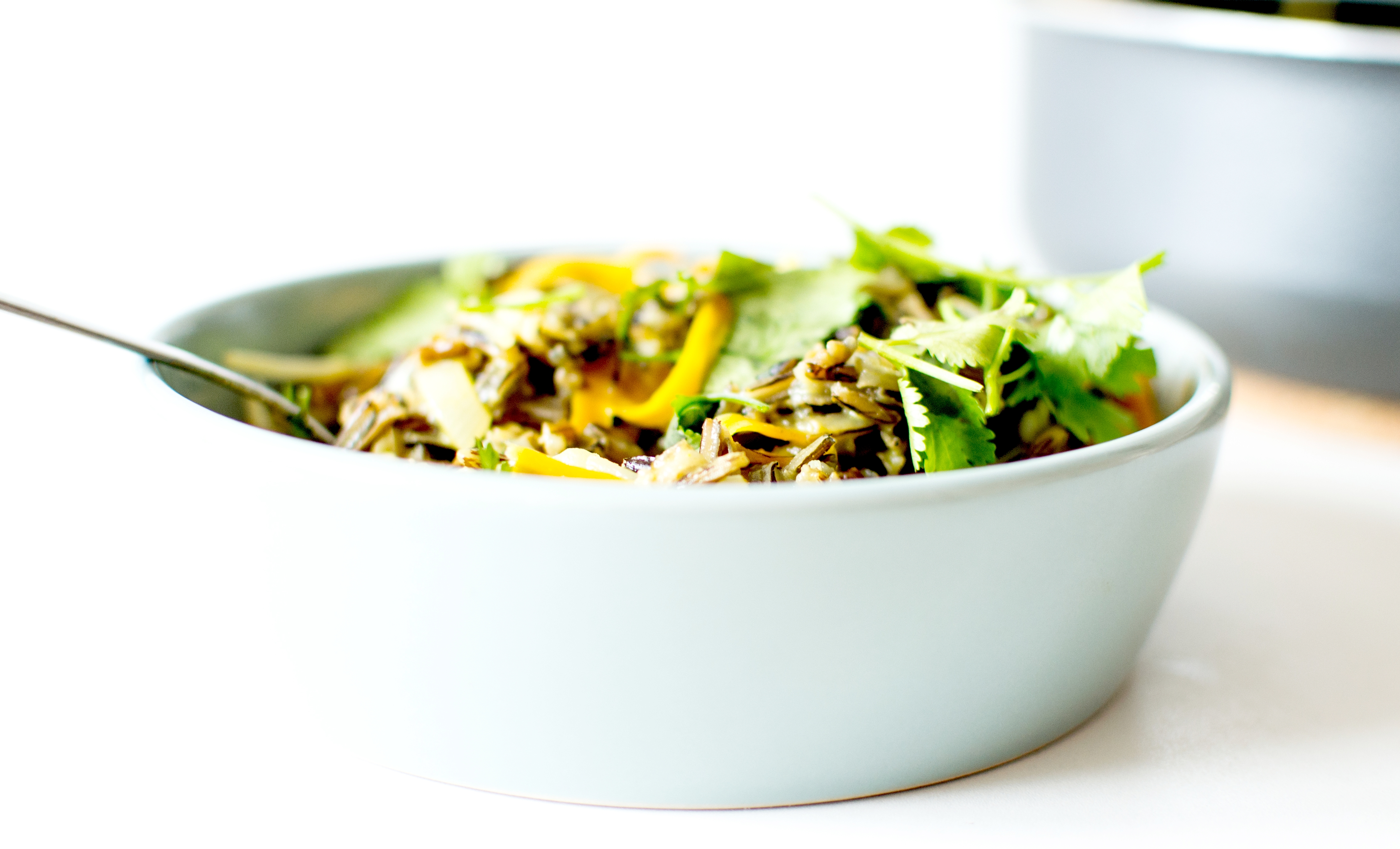 wok riz sauvage lait de coco 4