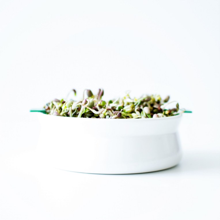 Graines germées (6)