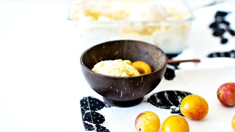 sorbet mirabelle (3)