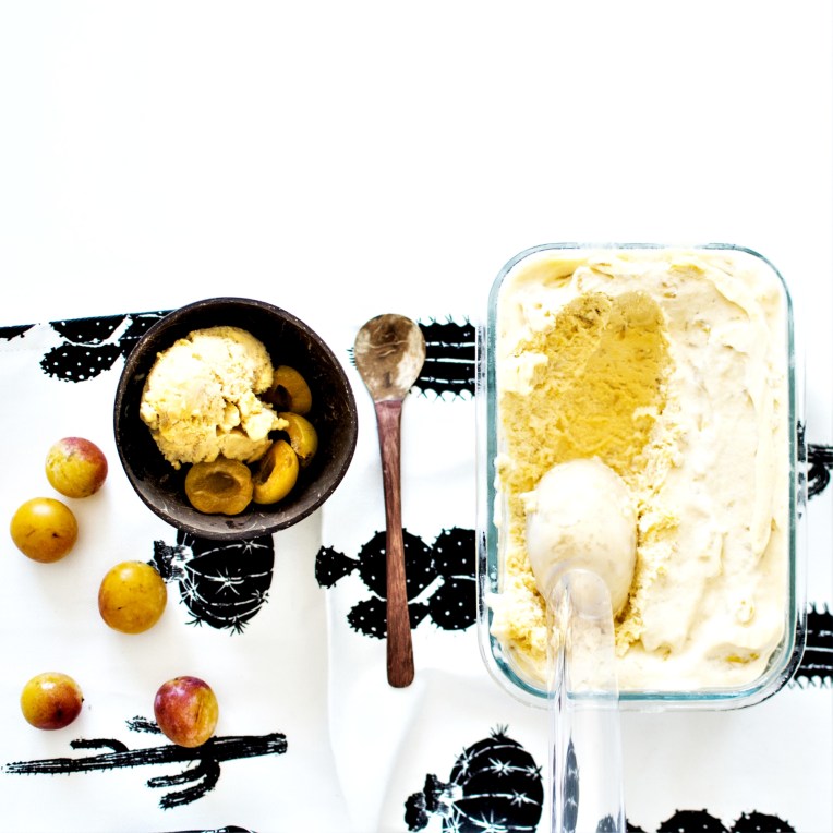 sorbet mirabelle (7)