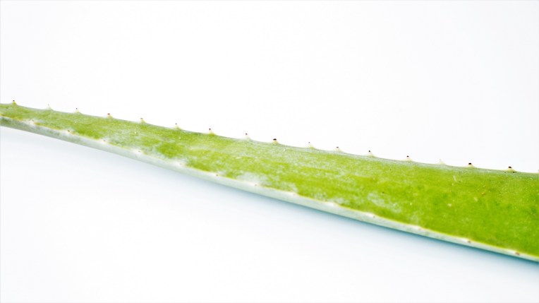 Aloe vera recette (8)